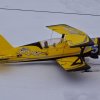 Neujahrsfliegen